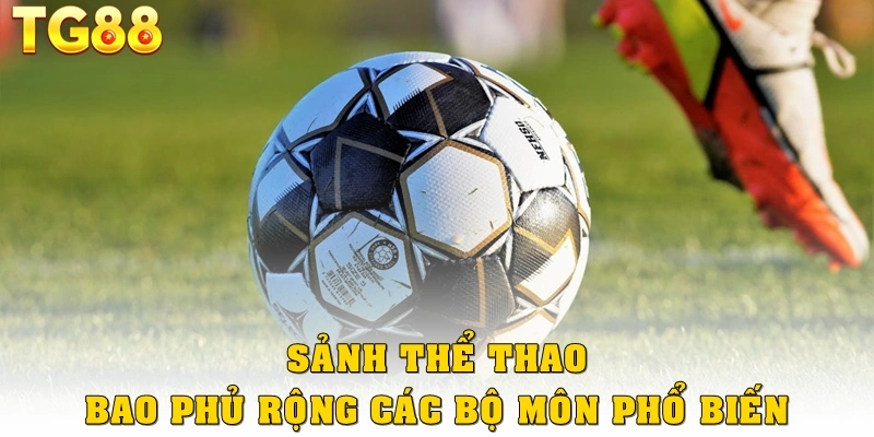 Cá cược thể thao bao phủ rộng các bộ môn phổ biến
