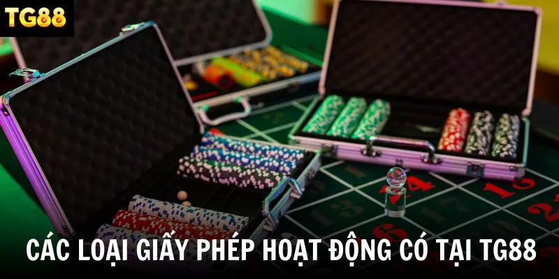 Các loại giấy phép liên quan đến hoạt động hiện có tại nền tảng