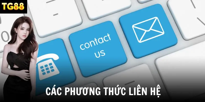 Tìm hiểu chi tiết về các hình thức nền tảng cung cấp