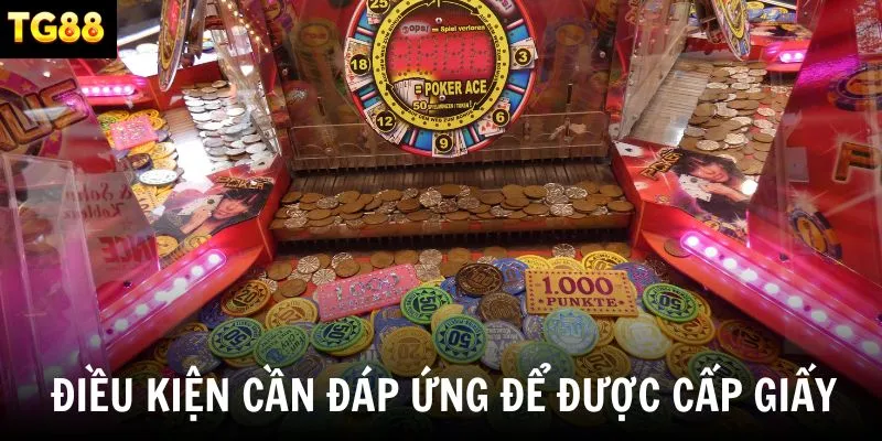 Điều kiện cần đáp ứng để được cấp phép hoạt động hợp pháp
