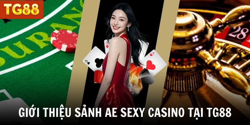 Giới thiệu sảnh AE Sexy casino trực tuyến tại TG88