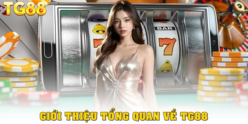 Giới thiệu tổng quan về TG88