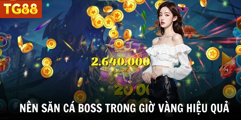 Nên săn cá boss trong giờ vàng hiệu quả 