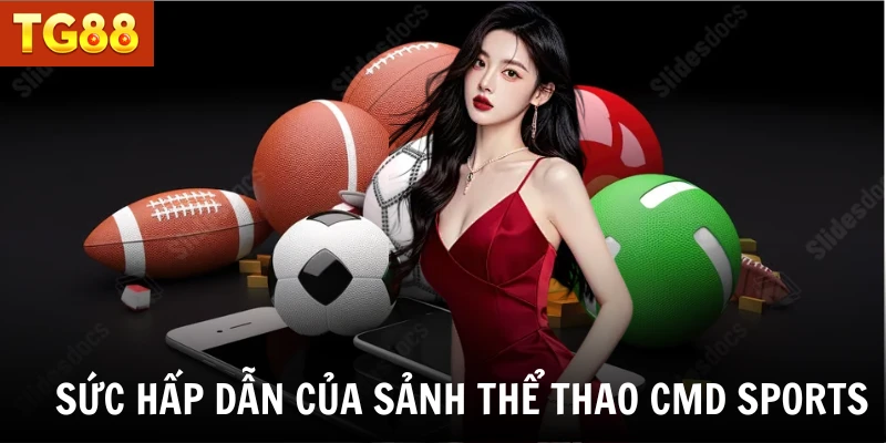 Sức hấp dẫn của sảnh thể thao CMD sports