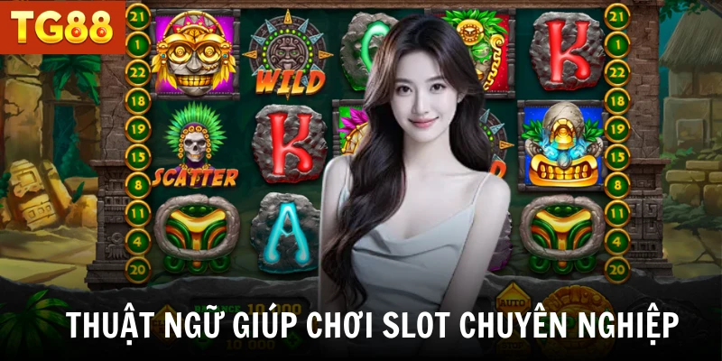 Thuật ngữ giúp chơi slot chuyên nghiệp 