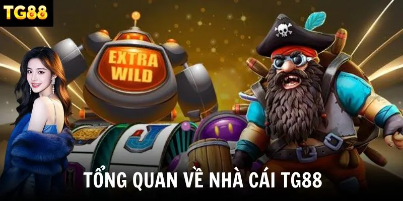 Giới thiệu nhà cái cá cược giải trí trực tuyến hàng đầu hiện nay