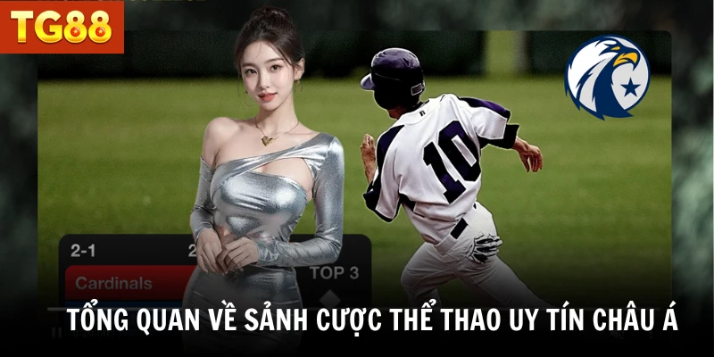 Tổng quan về sảnh cược thể thao uy tín châu Á