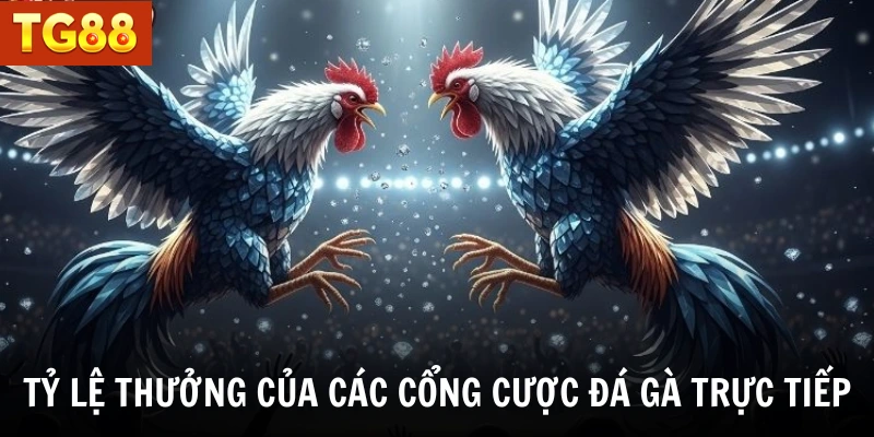Tỷ lệ thưởng của các cổng cược đá gà trực tiếp