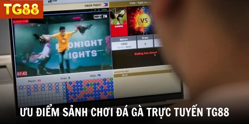 Ưu điểm của sảnh chơi đá gà trực tuyến TG88
